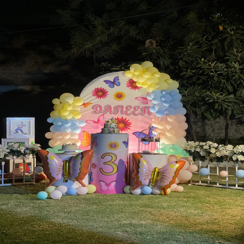 Pink theme birthday decoration for girls in Haripur
