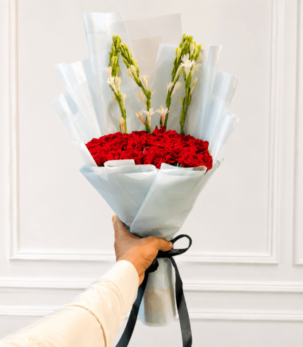 Royal Crimson Roses