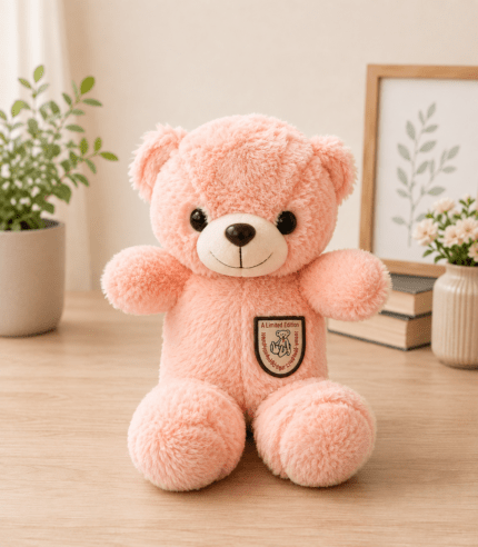 Peach pink teddy bear plush toy for kids and gifting in Pakistan
